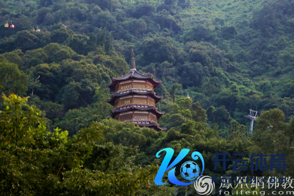 图片泉源：网释教文化 照相：十愿