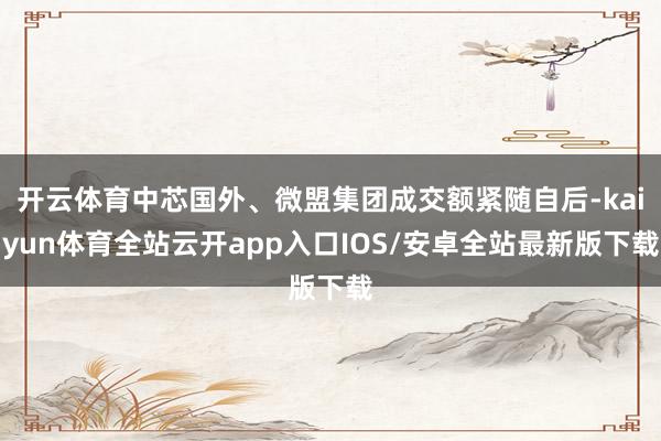 开云体育中芯国外、微盟集团成交额紧随自后-kaiyun体育全站云开app入口IOS/安卓全站最新版下载