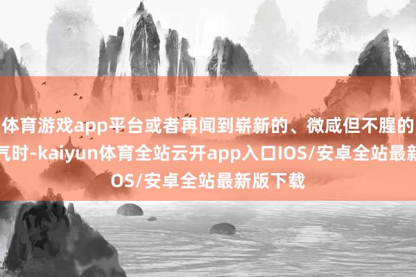 体育游戏app平台或者再闻到崭新的、微咸但不腥的海水香气时-kaiyun体育全站云开app入口IOS/安卓全站最新版下载