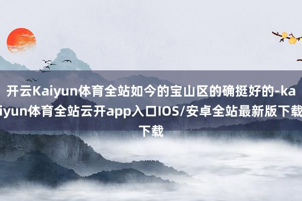 开云Kaiyun体育全站如今的宝山区的确挺好的-kaiyun体育全站云开app入口IOS/安卓全站最新版下载