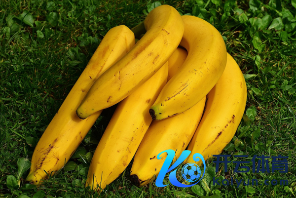 香蕉可能会殒命引热议 民众暗意未监测到真菌大爆发