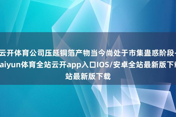 云开体育公司压延铜箔产物当今尚处于市集蛊惑阶段-kaiyun体育全站云开app入口IOS/安卓全站最新版下载