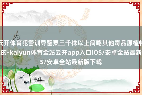 云开体育犯警训导罂粟三千株以上简略其他毒品原植物数目大的-kaiyun体育全站云开app入口IOS/安卓全站最新版下载