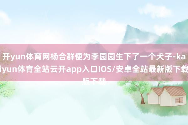 开yun体育网杨合群便为李园园生下了一个犬子-kaiyun体育全站云开app入口IOS/安卓全站最新版下载