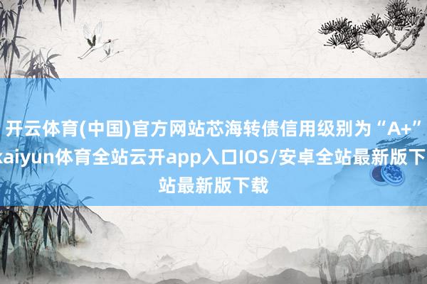 开云体育(中国)官方网站芯海转债信用级别为“A+”-kaiyun体育全站云开app入口IOS/安卓全站最新版下载