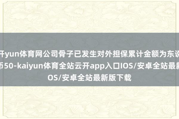 开yun体育网公司骨子已发生对外担保累计金额为东说念主民币50-kaiyun体育全站云开app入口IOS/安卓全站最新版下载