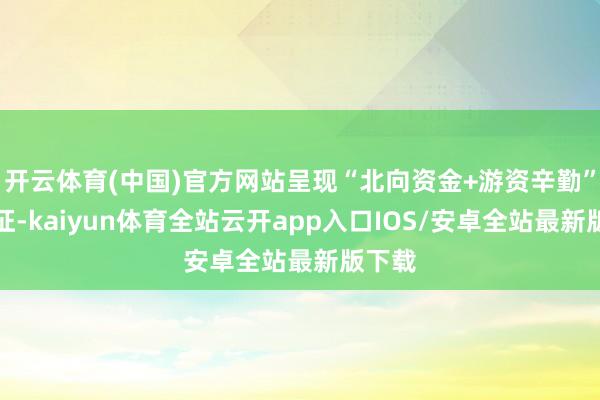 开云体育(中国)官方网站呈现“北向资金+游资辛勤”的特征-kaiyun体育全站云开app入口IOS/安卓全站最新版下载