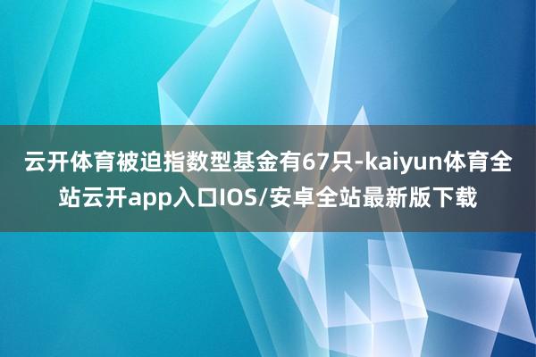 云开体育被迫指数型基金有67只-kaiyun体育全站云开app入口IOS/安卓全站最新版下载