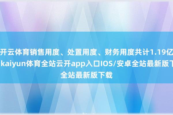 开云体育销售用度、处置用度、财务用度共计1.19亿元-kaiyun体育全站云开app入口IOS/安卓全站最新版下载