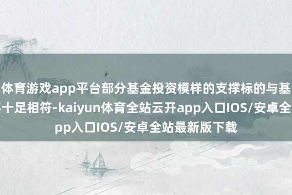 体育游戏app平台部分基金投资模样的支撑标的与基金磋约定位不十足相符-kaiyun体育全站云开app入口IOS/安卓全站最新版下载